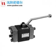广濑F-BV-T06-21球阀