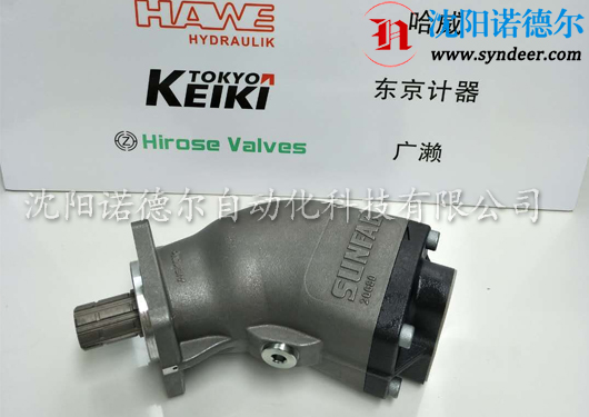 胜凡泵SAP-064R-N-DL4-L35-S0S-000