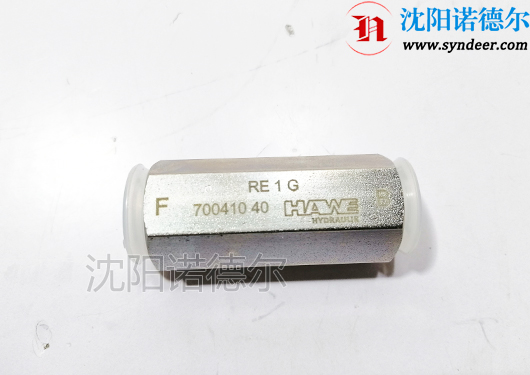 hawe RE 1 G德国哈威单向阀