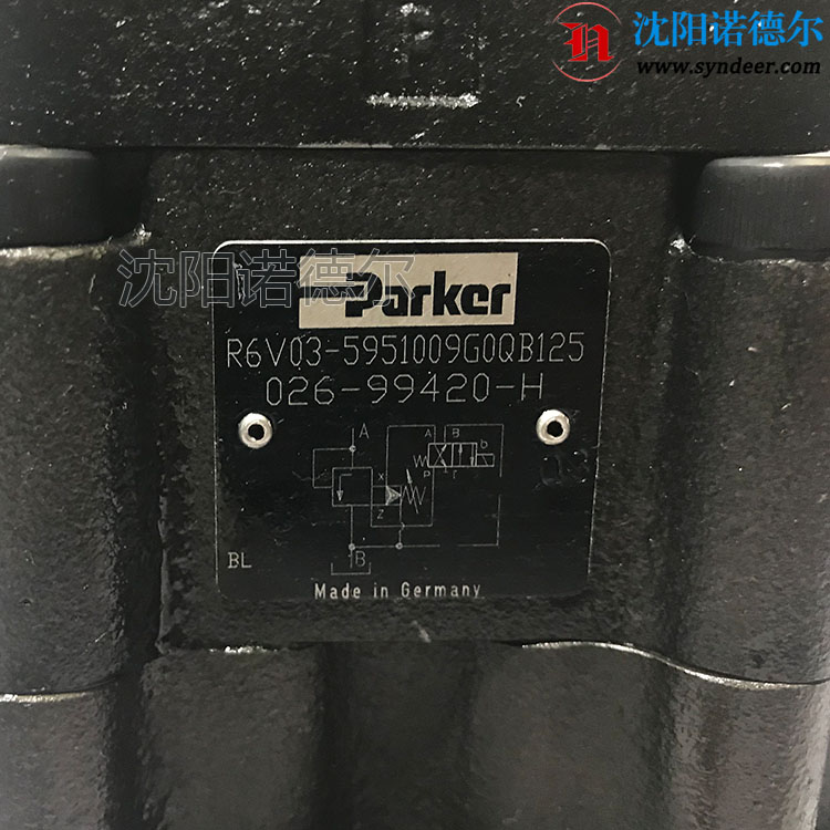 R6V03-5951009G0QB125